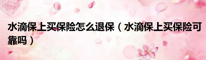 水滴保上买保险怎么退保 水滴保上买保险可靠吗