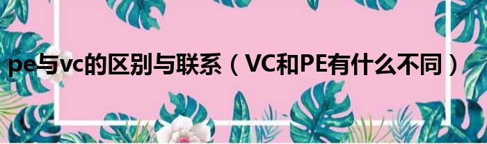 pe与vc的区别与联系 VC和PE有什么不同