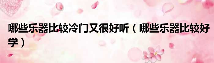 哪些乐器比较冷门又很好听 哪些乐器比较好学