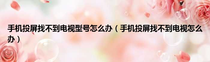 手机投屏找不到电视型号怎么办 手机投屏找不到电视怎么办