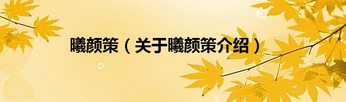 曦颜策 关于曦颜策介绍