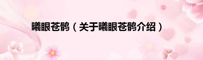 曦眼苍鹘 关于曦眼苍鹘介绍