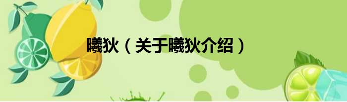 曦狄 关于曦狄介绍