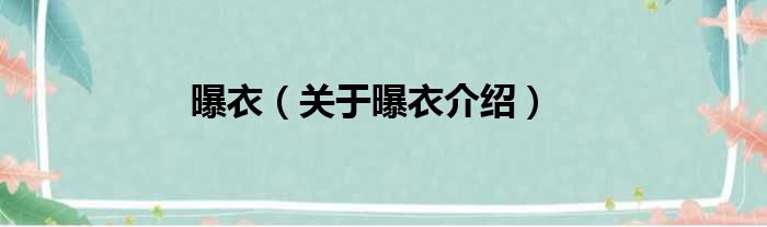曝衣 关于曝衣介绍