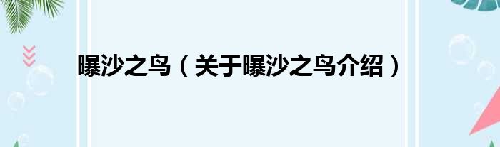 曝沙之鸟 关于曝沙之鸟介绍