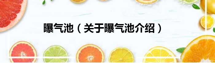曝气池 关于曝气池介绍
