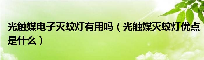 光触媒电子灭蚊灯有用吗 光触媒灭蚊灯优点是什么