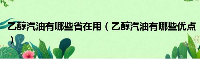 乙醇汽油有哪些省在用 乙醇汽油有哪些优点