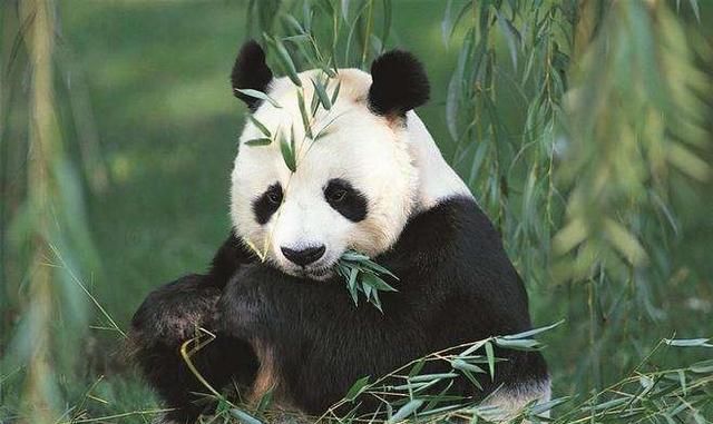 浣犱滑鍠滄绔ヨ瘽鏁呬簨鍚?浣犱滑鍠滄鍝釜绔ヨ瘽鏁呬簨鍛?鍥?