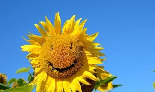 浣犱滑鍠滄绔ヨ瘽鏁呬簨鍚?浣犱滑鍠滄鍝釜绔ヨ瘽鏁呬簨鍛?鍥?