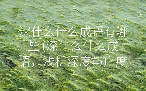 深什么什么成语有哪些 (深什么什么成语，浅析深度与广度)