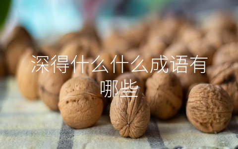 深得什么什么成语有哪些