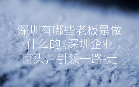 深圳有哪些老板是做什么的 (深圳企业巨头，引领一路-走向世界”)