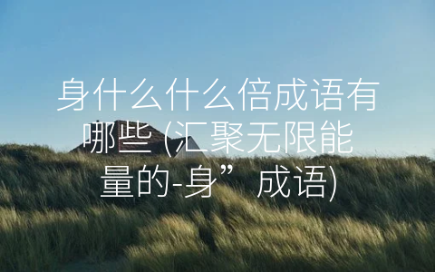 身什么什么倍成语有哪些 (汇聚无限能量的-身”成语)