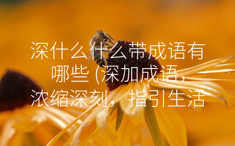 深什么什么带成语有哪些 (深加成语，浓缩深刻，指引生活与工作。)