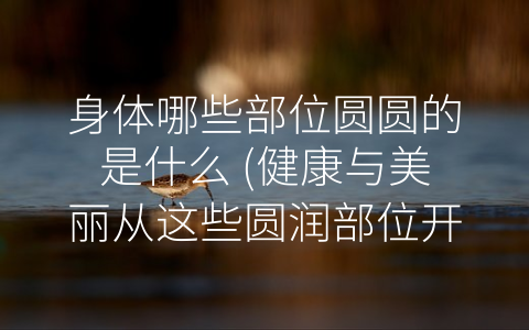 身体哪些部位圆圆的是什么 (健康与美丽从这些圆润部位开始)