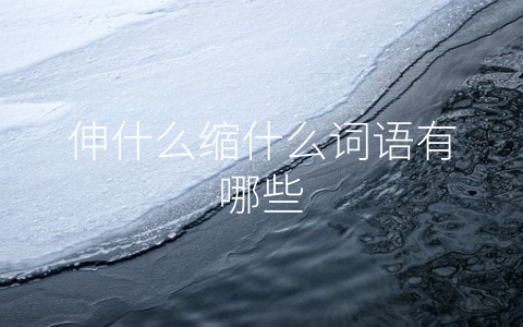 伸什么缩什么词语有哪些