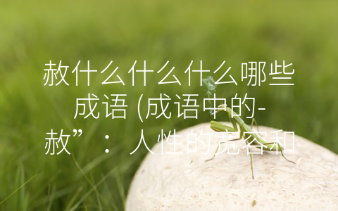 赦什么什么什么哪些成语 (成语中的-赦”：人性的宽容和法律的公正)