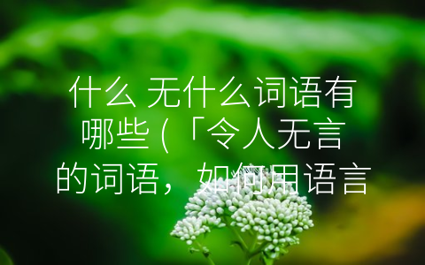 什么 无什么词语有哪些 (「令人无言的词语，如何用语言表达？」)