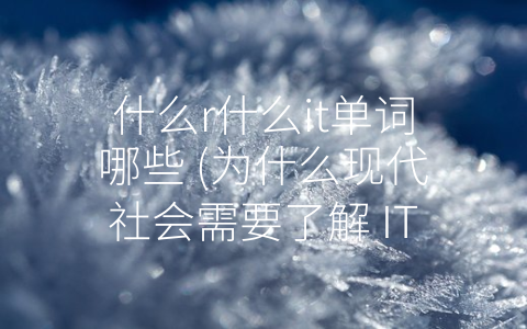 什么r什么it单词哪些 (为什么现代社会需要了解 IT 单词？)