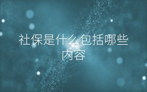 社保是什么包括哪些内容