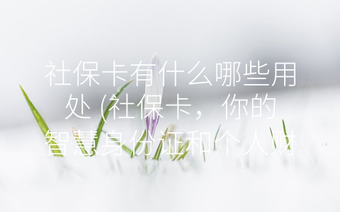 社保卡有什么哪些用处 (社保卡，你的智慧身份证和个人财产证明)