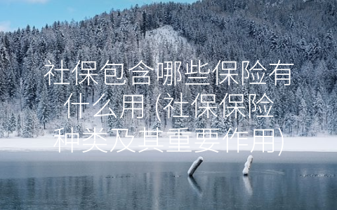 社保包含哪些保险有什么用 (社保保险种类及其重要作用)
