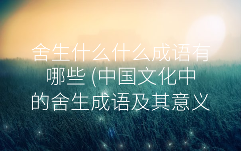 舍生什么什么成语有哪些 (中国文化中的舍生成语及其意义)