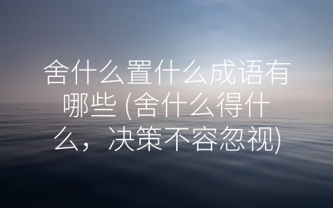 舍什么置什么成语有哪些 (舍什么得什么，决策不容忽视)