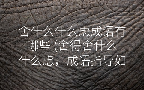 舍什么什么虑成语有哪些 (舍得舍什么什么虑，成语指导如何决策)