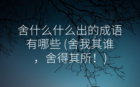 舍什么什么出的成语有哪些 (舍我其谁，舍得其所！)