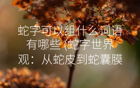 蛇字可以组什么词语有哪些 (蛇字世界观：从蛇皮到蛇囊膜积液，探索蛇的文化意义)