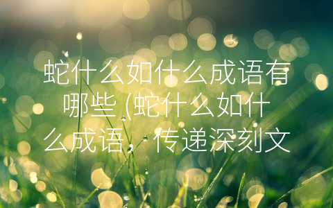 蛇什么如什么成语有哪些 (蛇什么如什么成语，传递深刻文化内涵)