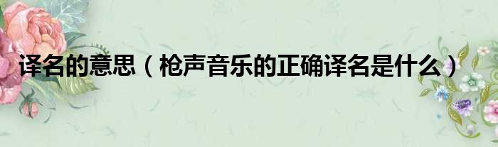 译名的意思 枪声音乐的正确译名是什么