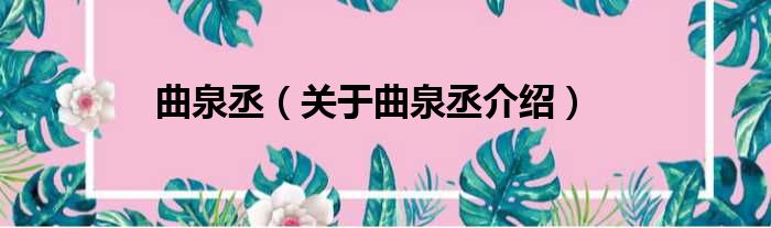 曲泉丞 关于曲泉丞介绍