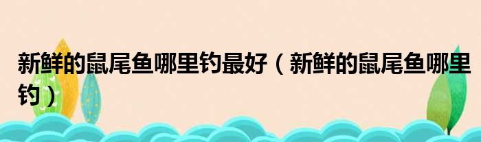 新鲜的鼠尾鱼哪里钓最好 新鲜的鼠尾鱼哪里钓