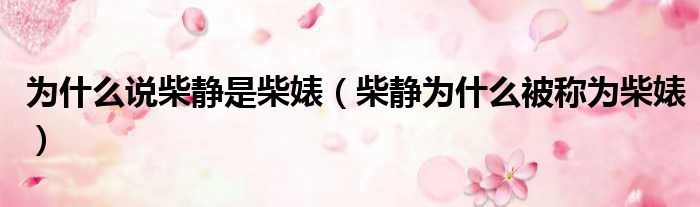 为什么说柴静是柴婊 柴静为什么被称为柴婊