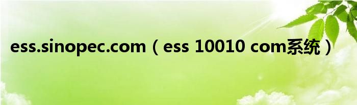 ess.sinopec.com ess 10010 com系统