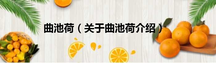 曲池荷 关于曲池荷介绍