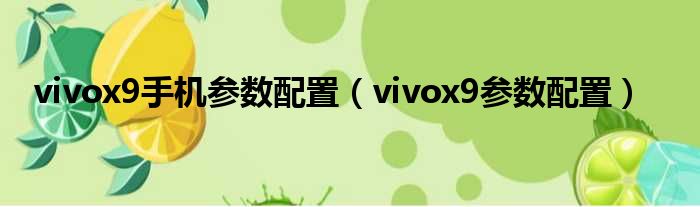 vivox9手机参数配置 vivox9参数配置