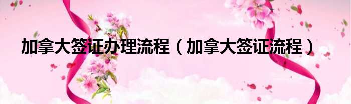加拿大签证办理流程 加拿大签证流程