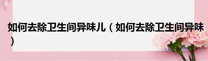 如何去除卫生间异味儿 如何去除卫生间异味