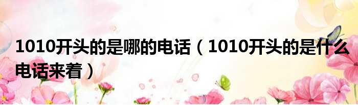 1010开头的是哪的电话 1010开头的是什么电话来着