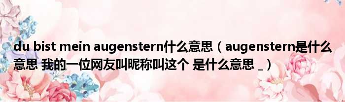 du bist mein augenstern什么意思 augenstern是什么意思 我的一位网友叫昵称叫这个 是什么意思
