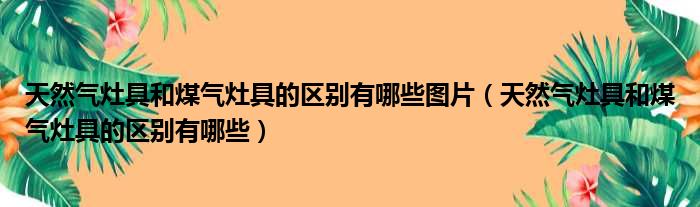 天然气灶具和煤气灶具的区别有哪些图片 天然气灶具和煤气灶具的区别有哪些