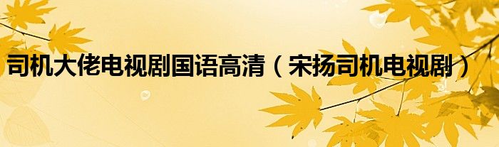 司机大佬电视剧国语高清 宋扬司机电视剧