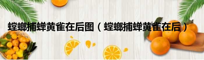螳螂捕蝉黄雀在后图 螳螂捕蝉黄雀在后