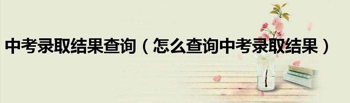 中考录取结果查询 怎么查询中考录取结果