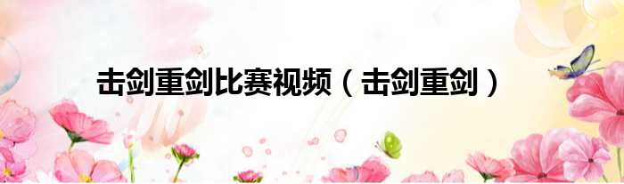 击剑重剑比赛视频 击剑重剑
