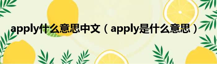 apply什么意思中文 apply是什么意思